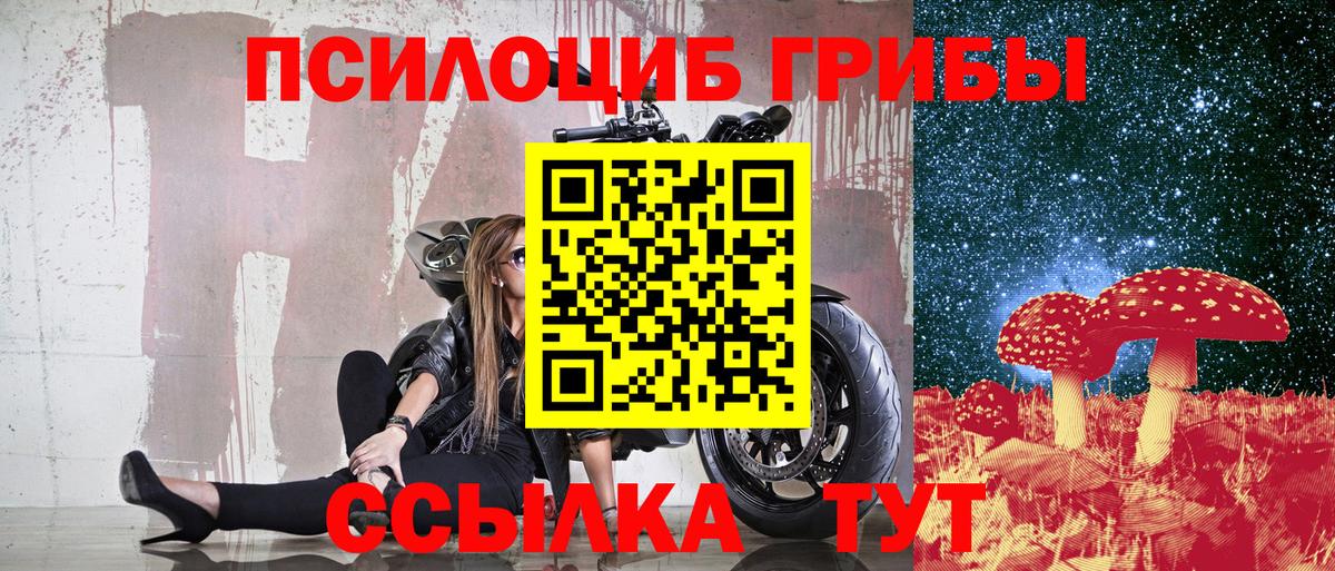 Псилоцибиновые грибы мухоморы Дзержинский