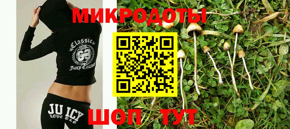 Дзержинский  Псилоцибиновые грибы мухоморы  купить наркоту  Псилоцибиновые грибы Psilocybe  Вход с VPN 
